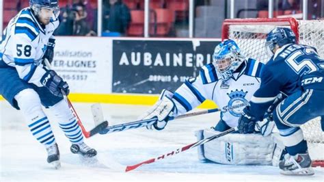 ldhjq|Équipe Détails – Ligue Dek Hockey Junior Québec.